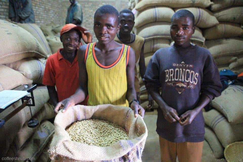 Burundi, Sogestal Kirimiro - Eternity Coffee Roasters